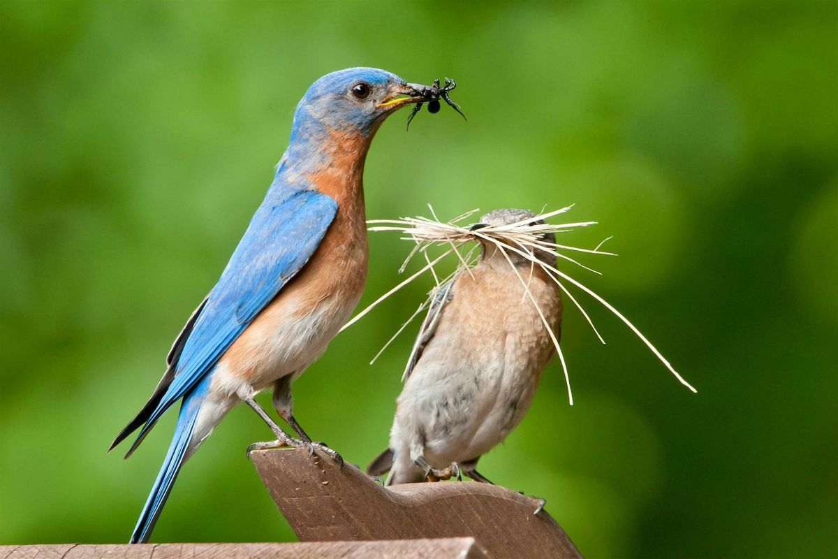 First Saturday Bird Bingo, 6 September | Event in Cedar Hill | AllEvents