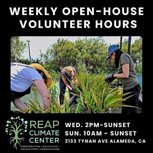 Volunteer Day & Open House at REAP Climate Center | Event in Alameda | AllEvents