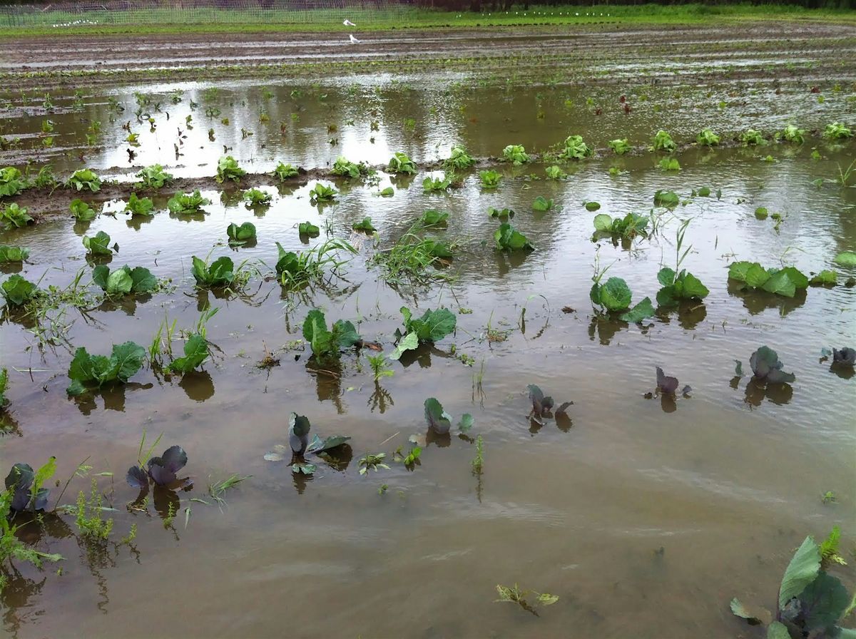 Disaster Risk Management Training for Farmers (Part 1 of 2), 17 October | Event in Durham | AllEvents