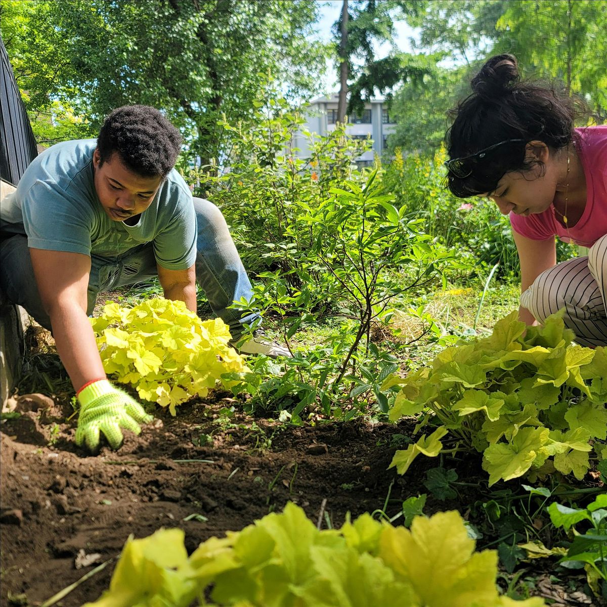 Stewardship Volunteering at Tompkins Square Park, 1 June | Event in New York | AllEvents