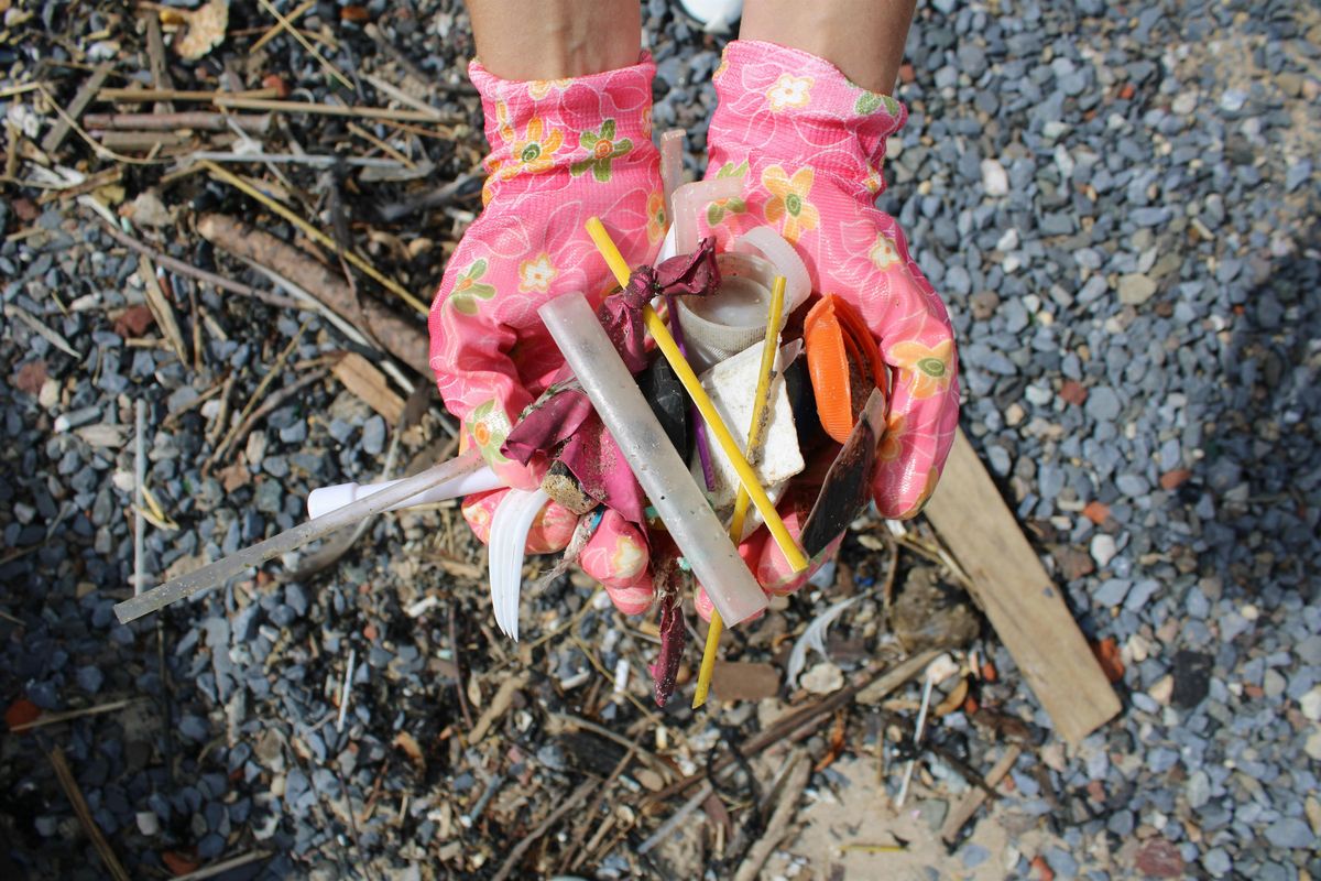 Coastal Cleanup | Event in Brooklyn | AllEvents