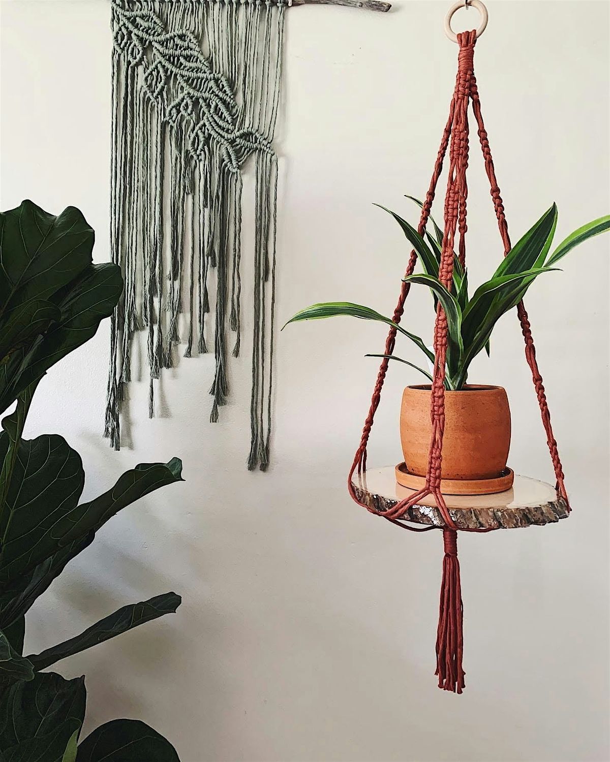 Macrame Plant Hanger Workshop, 19 July | Event in Jonesborough | AllEvents