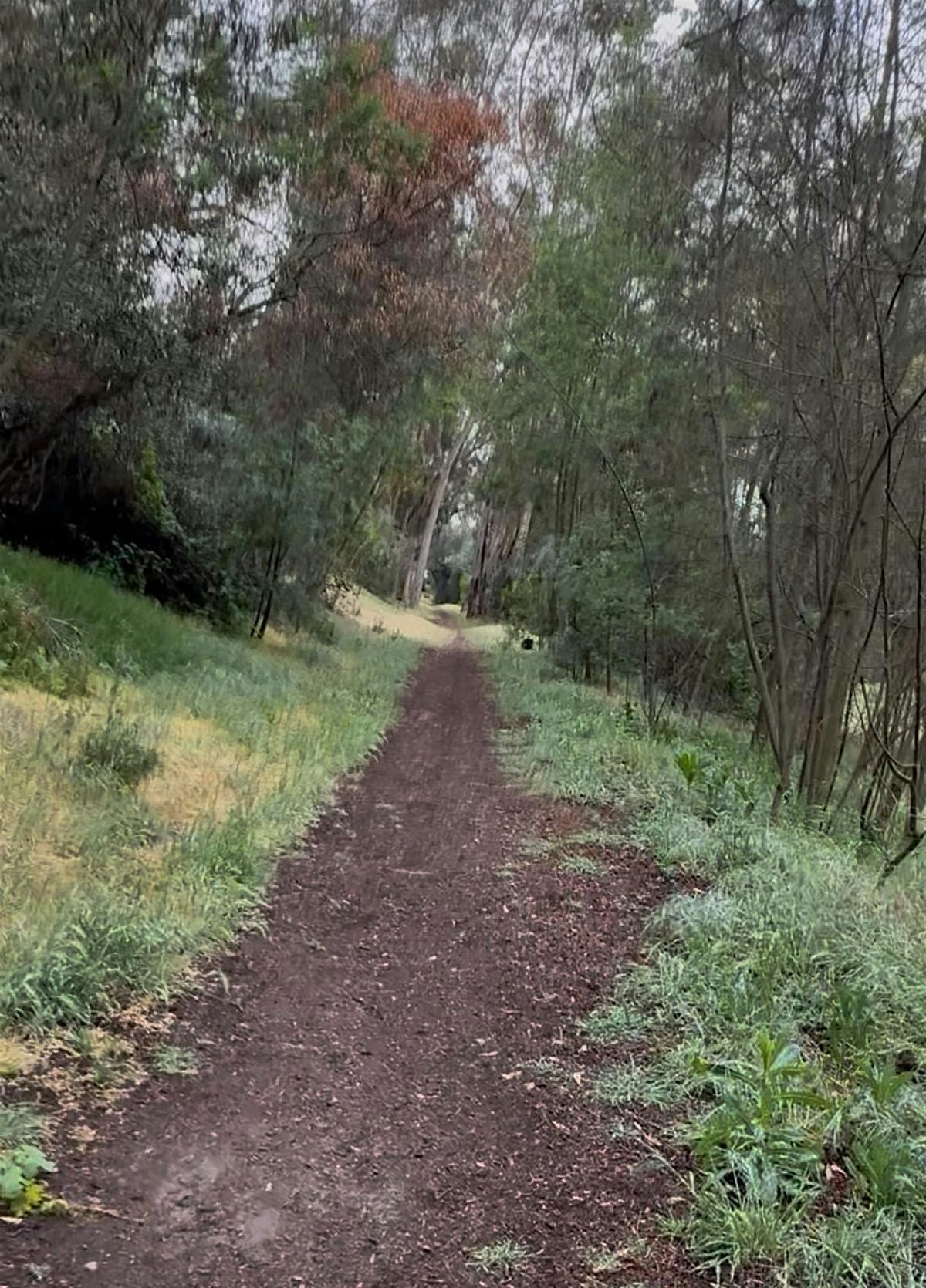 Scripps Ranch Community Hike, 8 June | Event in San Diego | AllEvents