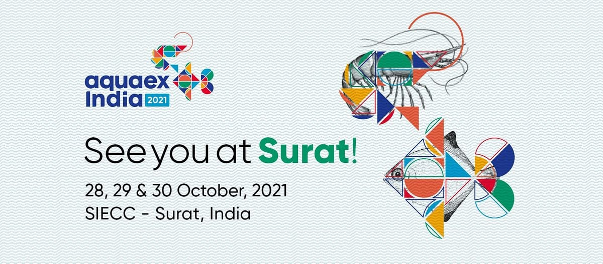Events In Surat In October 2021 Events In October 2022 Near Me