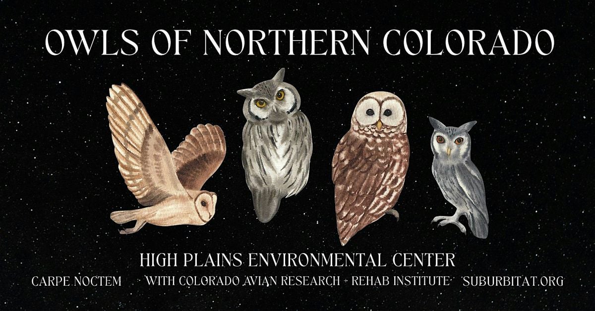 Owls of Northern Colorado, 20 September | Event in Loveland | AllEvents