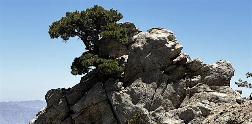 Discovery Hike, Secrets of the Backcountry, 30 August | Event in Palm Springs | AllEvents