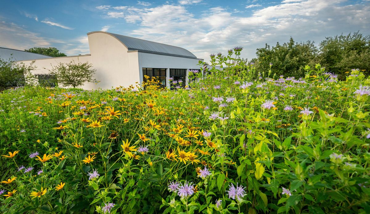 Exploring Materials: Mark-Making in Nature!, 19 May | Event in Amherst | AllEvents