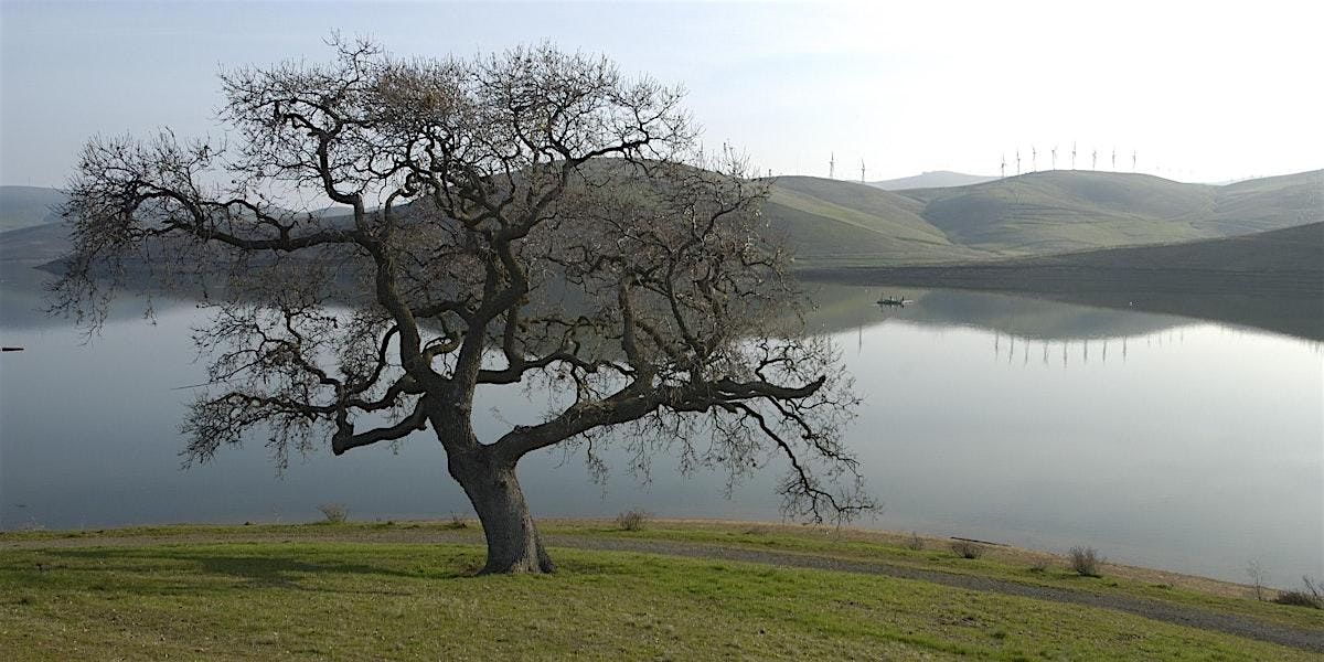 Winter's Transformations in the Oak Savanna, 7 December | Event in Byron | AllEvents