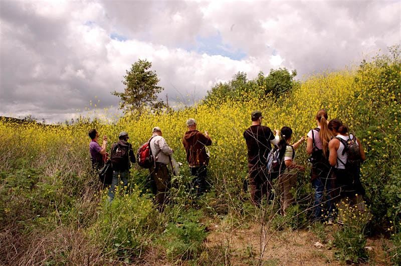 Eco-Friendly Foraging - Plants Walk / Wild Food Tasting & Drinks, 24 May | Event in Sylmar | AllEvents