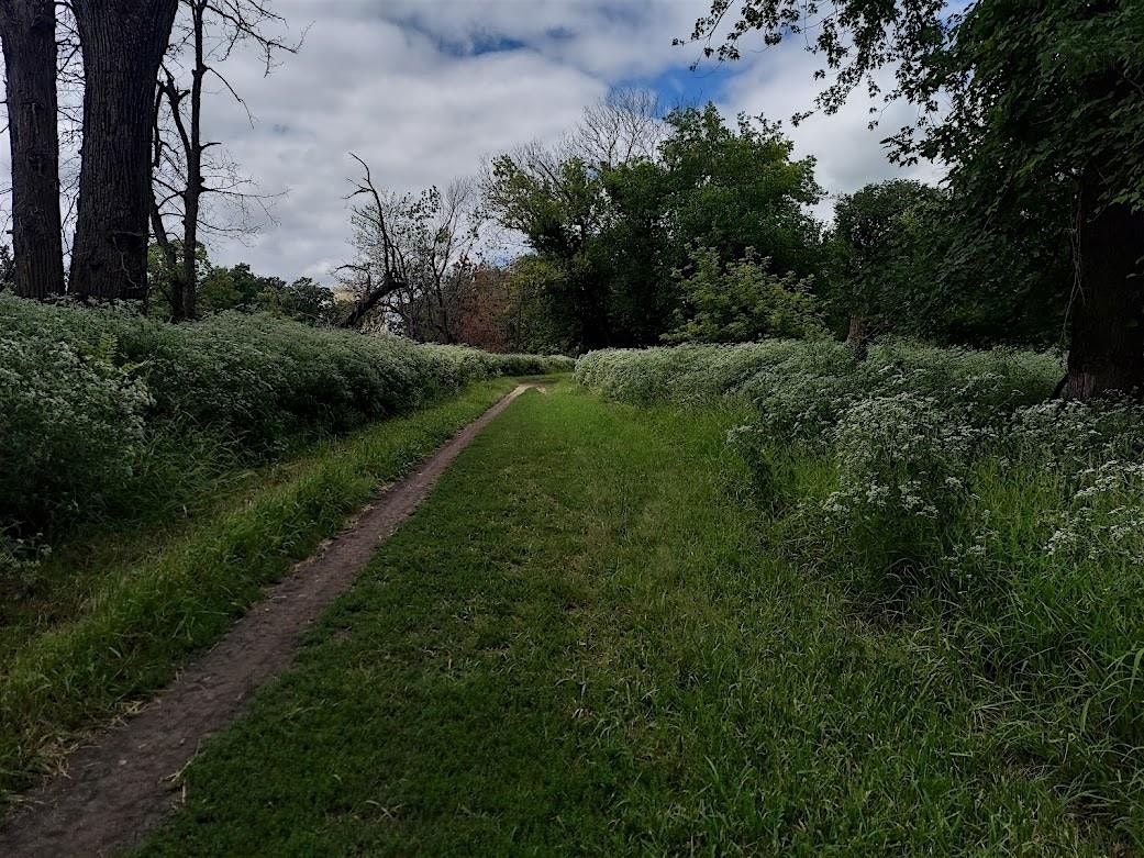 Schiller Woods Spring Exploration Walk | Event in Schiller Park | AllEvents