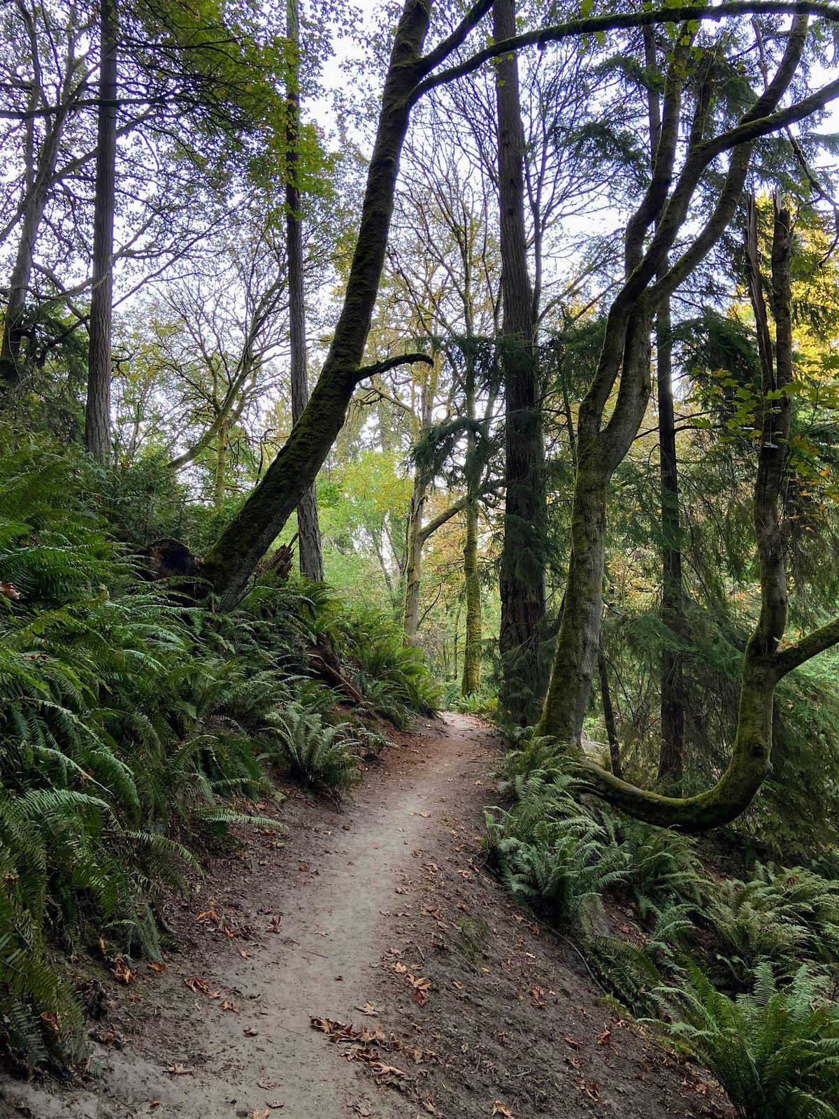 August Grief Walk, 10 August | Event in Seattle | AllEvents