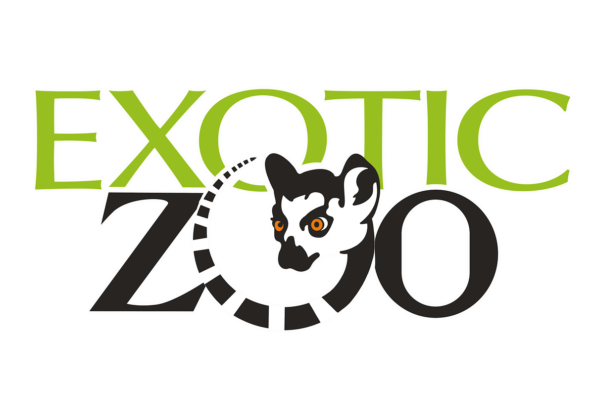 EXOTIC ZOO COMES TO DUFFIELD LIBRARY, 23 July | Event in Detroit | AllEvents
