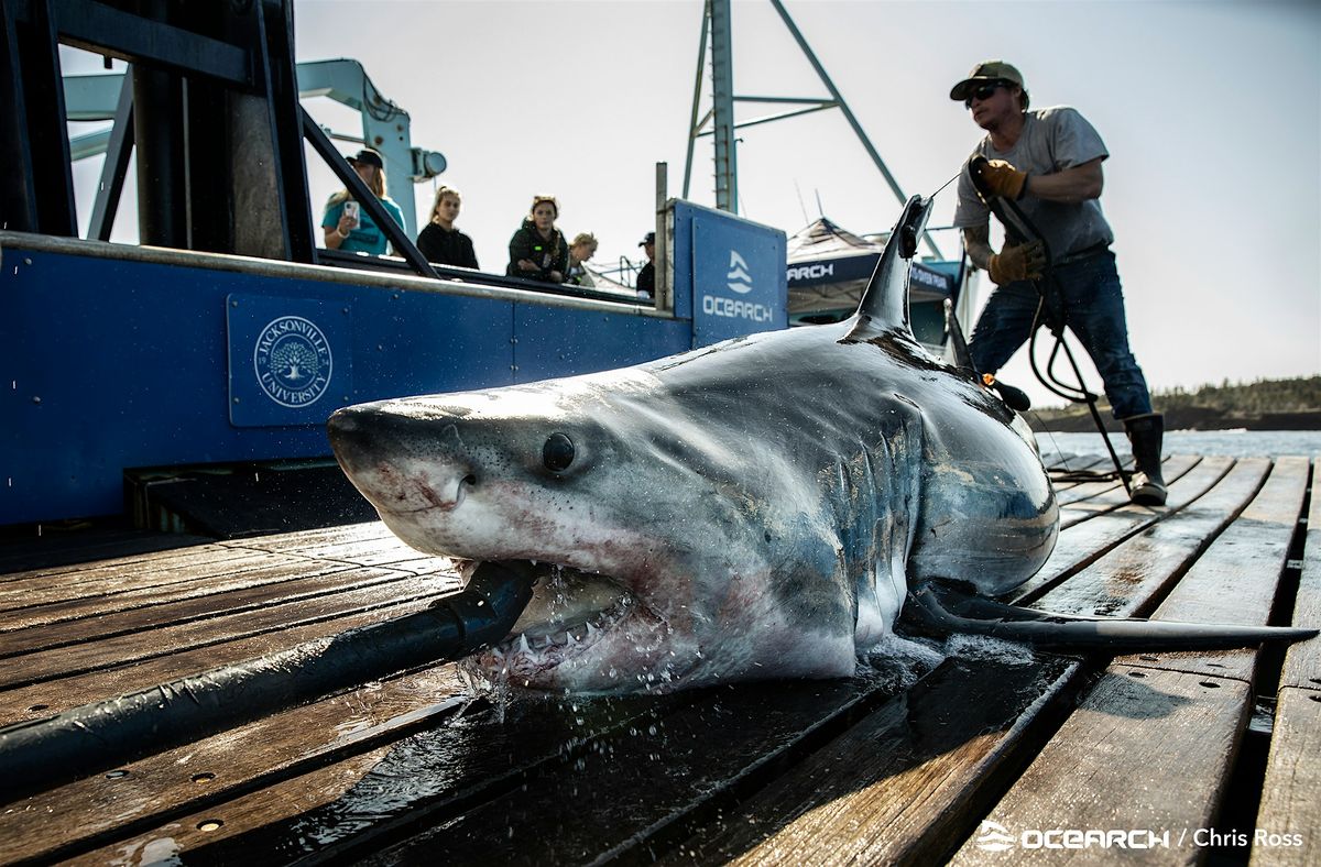 Scenic Visions: Mayport OCEARCH and Ferry Tour, 25 October | Event in Jacksonville | AllEvents
