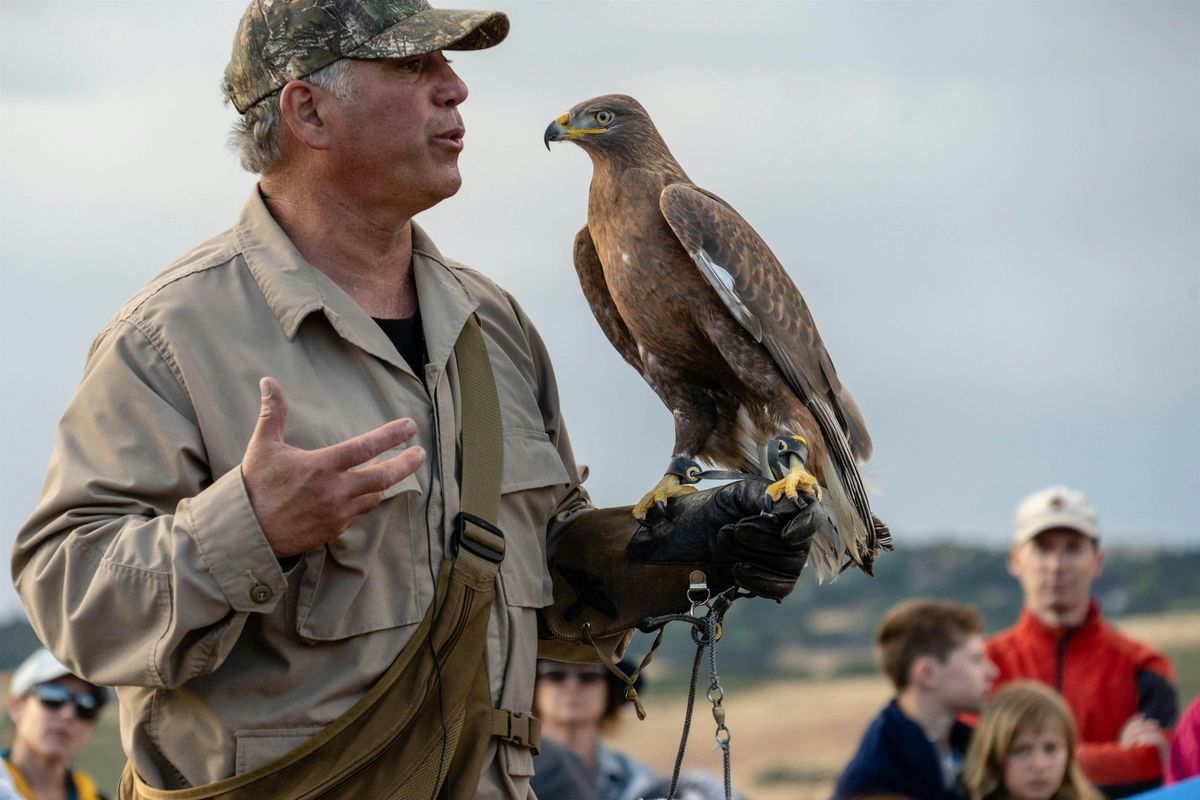 Raptor Encounter in Coyote Valley, 22 June | Event in Coyote | AllEvents