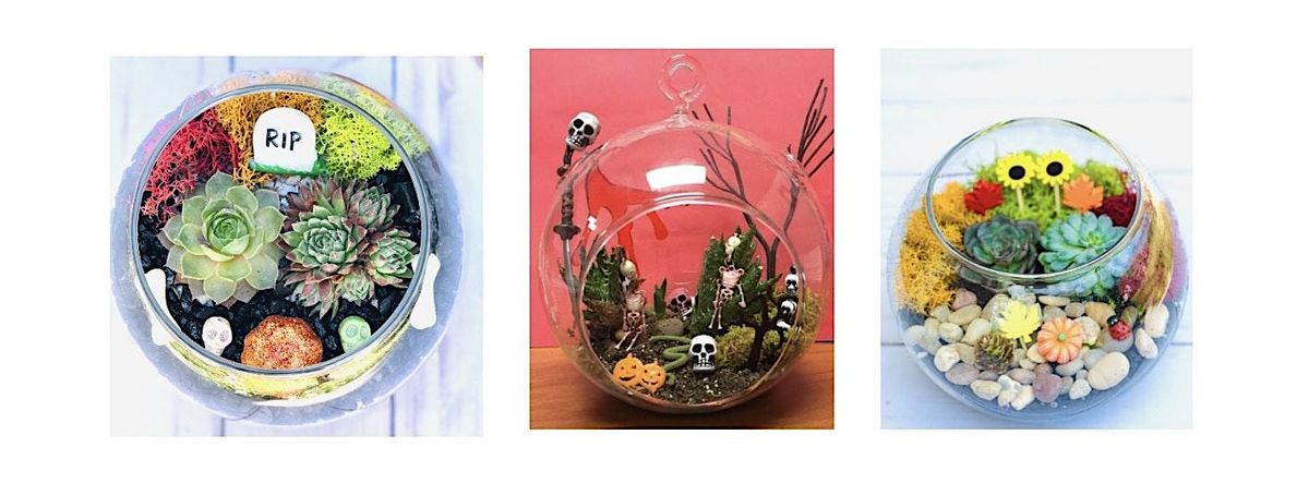 Get Ready For Halloween with Our Succulent Planting Event, 28 October | Event in Columbus | AllEvents