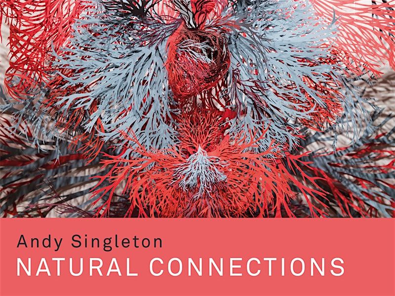 Andy Singleton, Natural connections | Event in Ilford | AllEvents