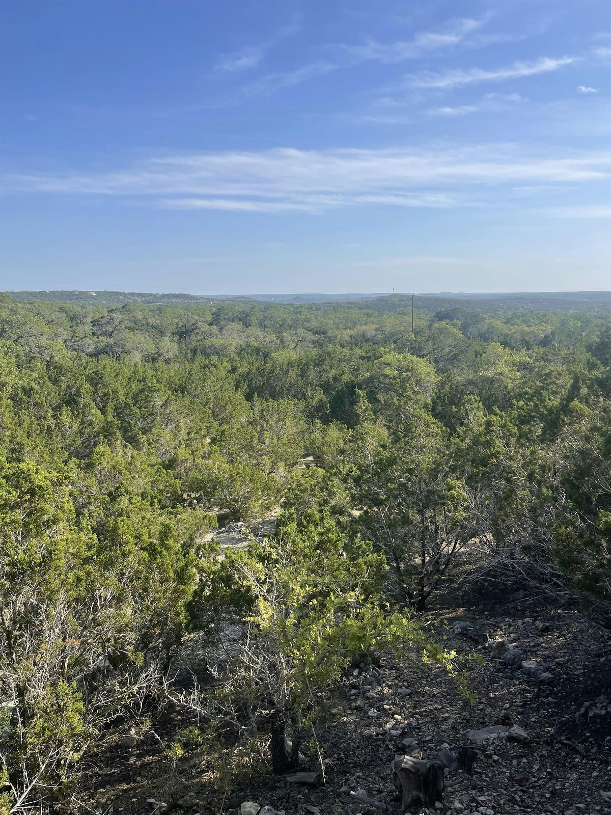 Shady Llama Friday Morning Hike (7/25), 25 July | Event in Wimberley | AllEvents