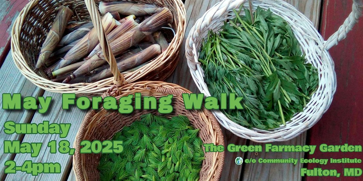 May Foraging Walk, 18 May | Event in Fulton | AllEvents