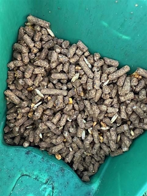 Equine Forages, Feeds, and Supplements, 7 August | Event in Aiken | AllEvents