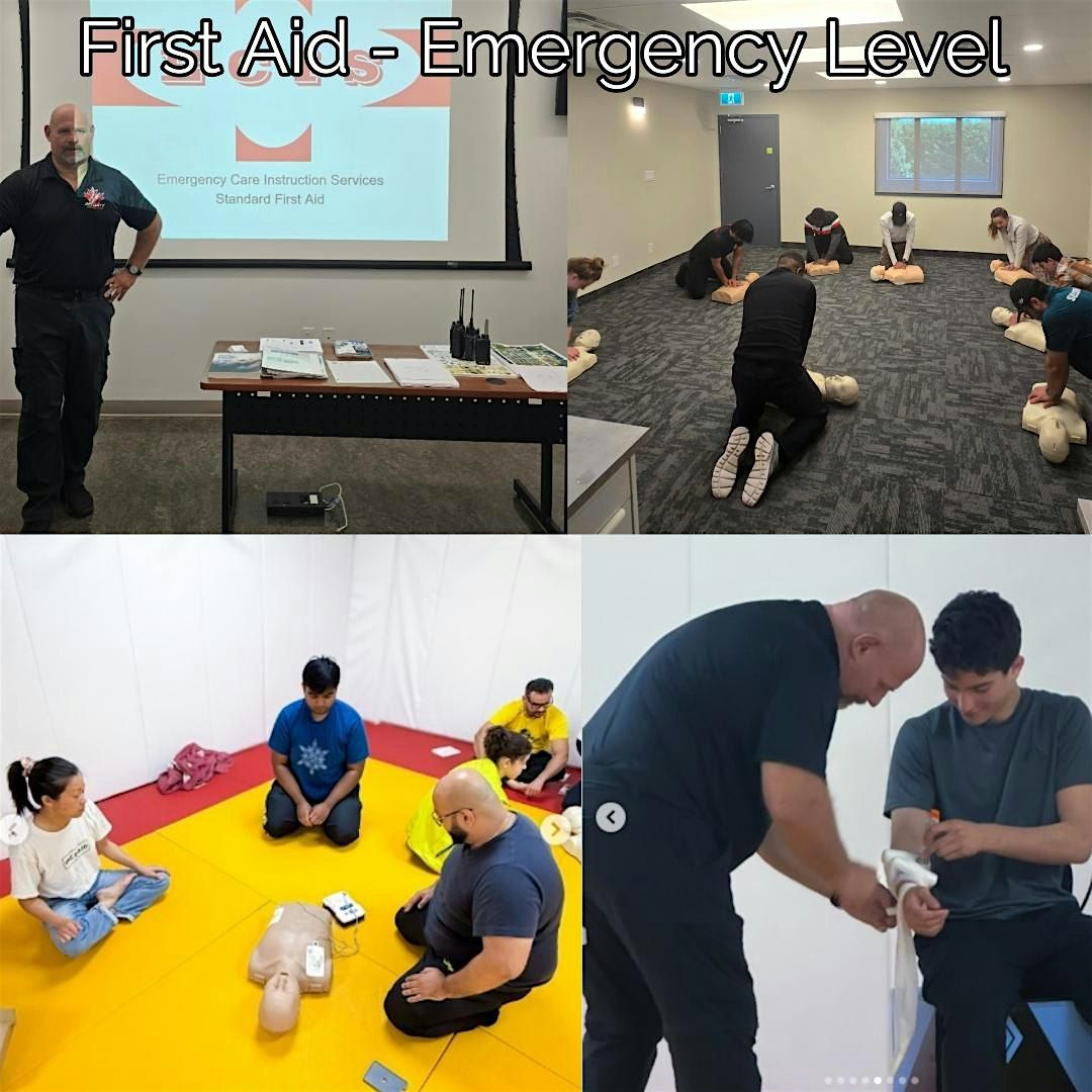 First Aid / CPR / AED - Emergency Level, 7 November | Event in Ottawa | AllEvents