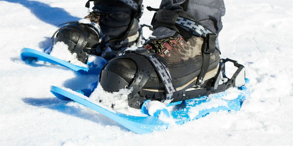 Snowshoeing (8+), 20 December | Event in Niagara Falls | AllEvents