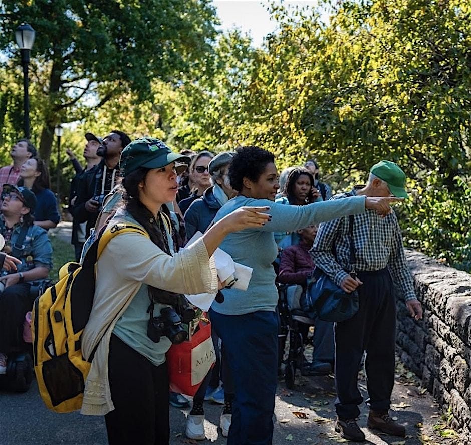 Summer Birding in the Park | Event in New York | AllEvents