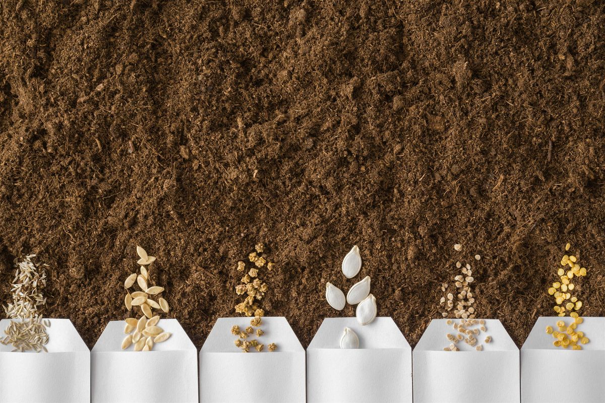 Seed Saving at Division, 31 August | Event in Portland | AllEvents