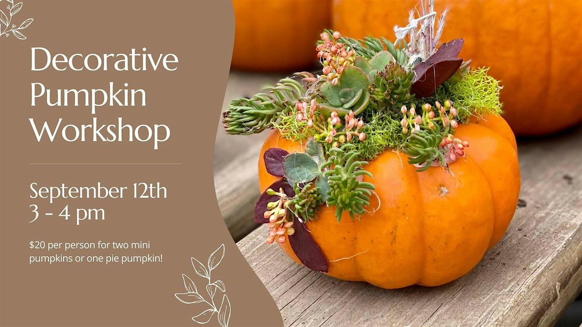 Decorative Pumpkin Workshop (4 of 4), 13 September | Event in Marion | AllEvents