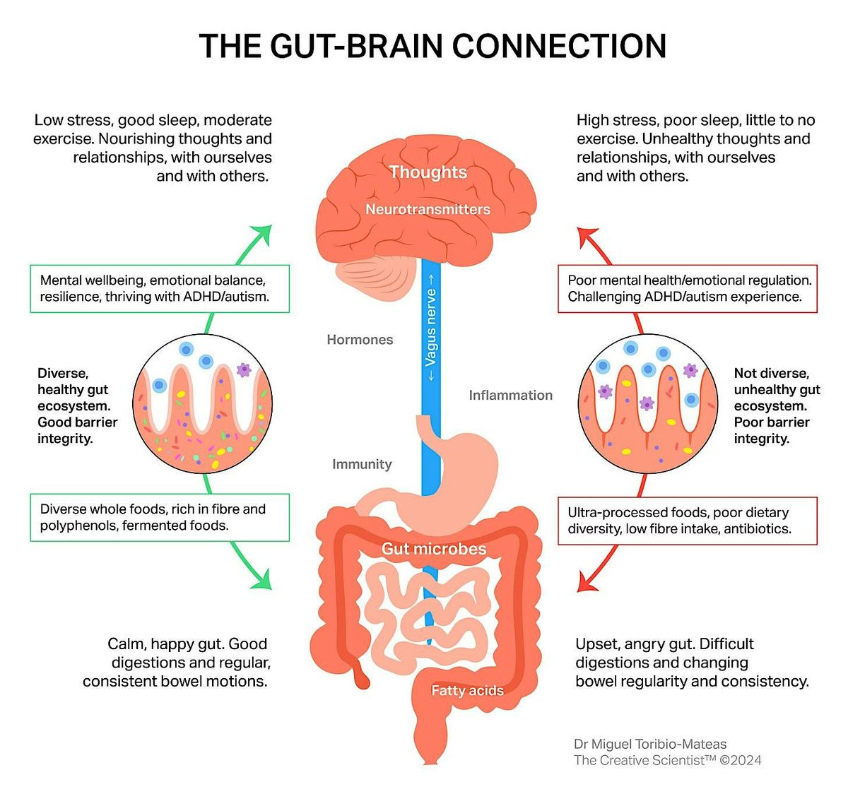 Gut Health Workshop - Fix that BLOATING for good!, 7 November | Event in Calgary | AllEvents