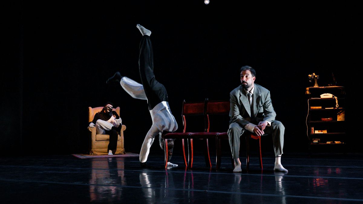 Espectáculo "Leporem Oblivionis" por Meraki Cía., 25 October | Event in Valladolid | AllEvents