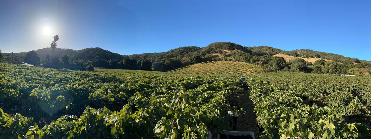 Double the Wineries Double the Fun, 20 July | Event in Martinez | AllEvents