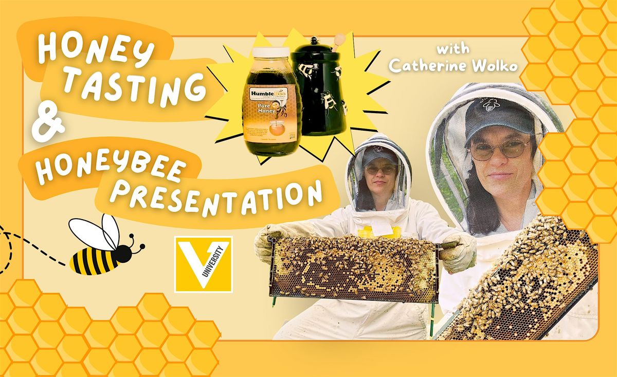 Verso U Presents: All About Bees! Honey Tasting and Honeybee Presentation, 26 July | Event in Westport | AllEvents