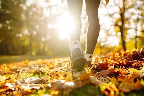 Step Into the Season: Morning Walking & Workout Group | Event in Montclair | AllEvents