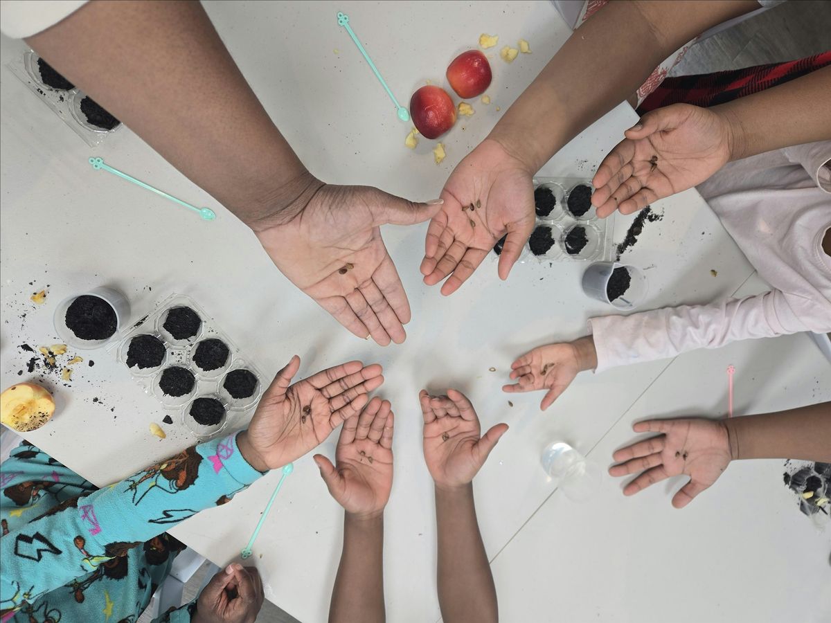 STEAM Summer Camp Week 7, 14 July | Event in Atlanta | AllEvents
