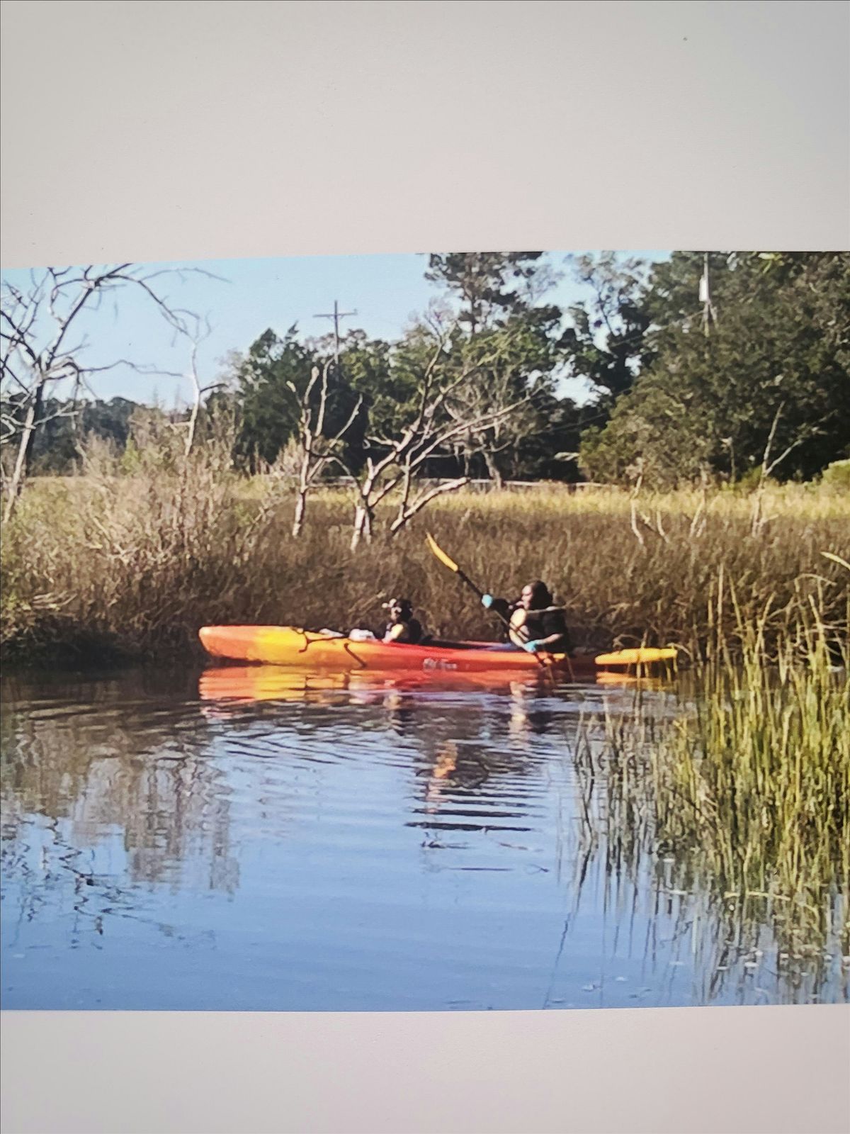 Annual River Cleanup, 11 October | Event in Savannah | AllEvents