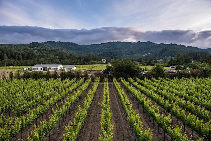 Private St. Helena Vintner Tasting - Meet the Winemakers, 28 August | Event in San Francisco | AllEvents