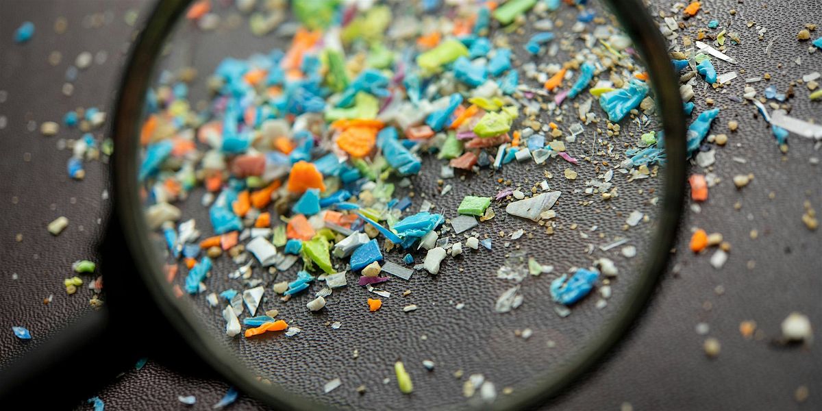 Microplastics Workshop for Home Schoolers, 27 November | Event in Wasaga Beach | AllEvents