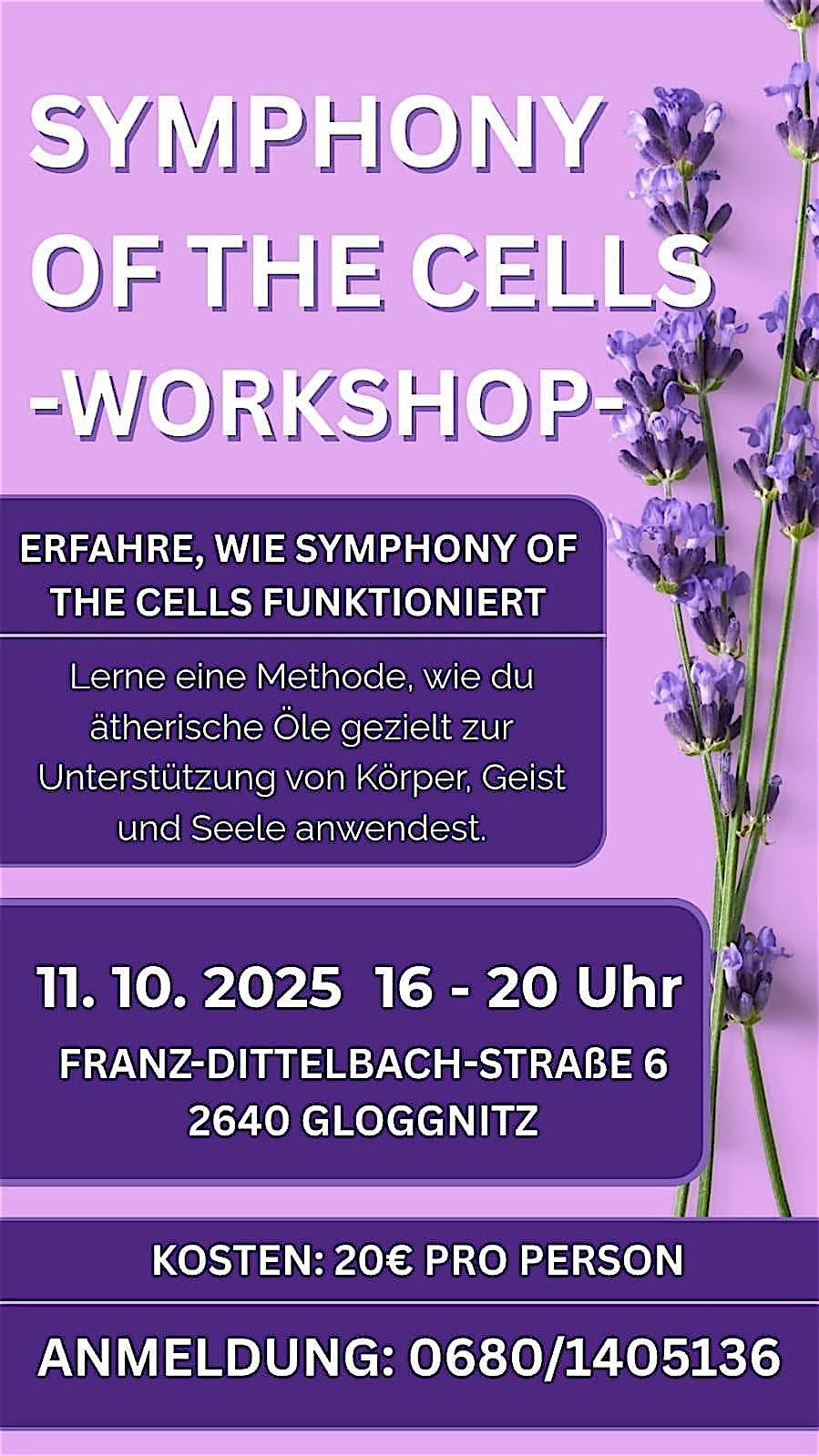 Symphony of the Cells -Workshop-, 11 October | Event in Grafenbach | AllEvents