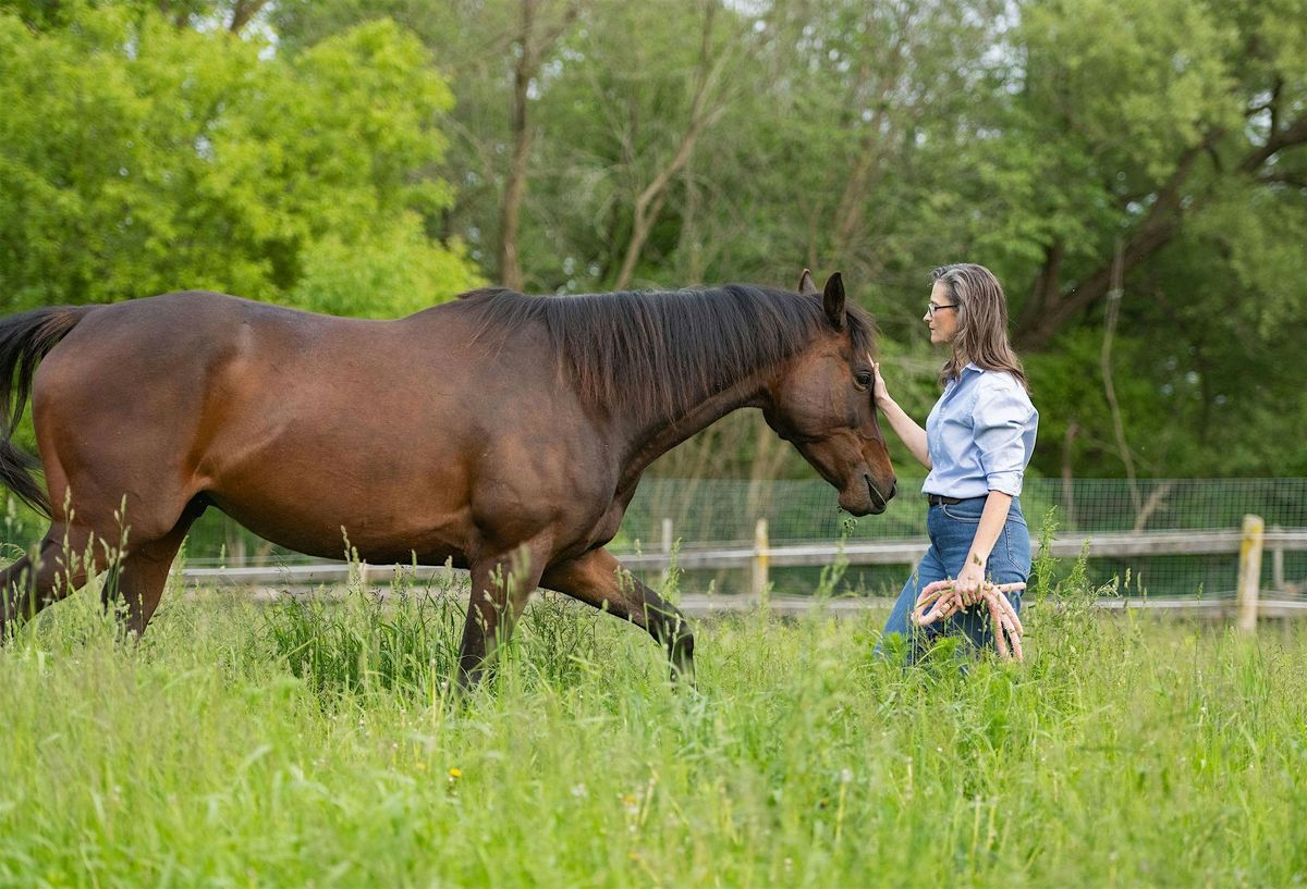 Meditation with the Horses, 11 September | Event in Ajax | AllEvents