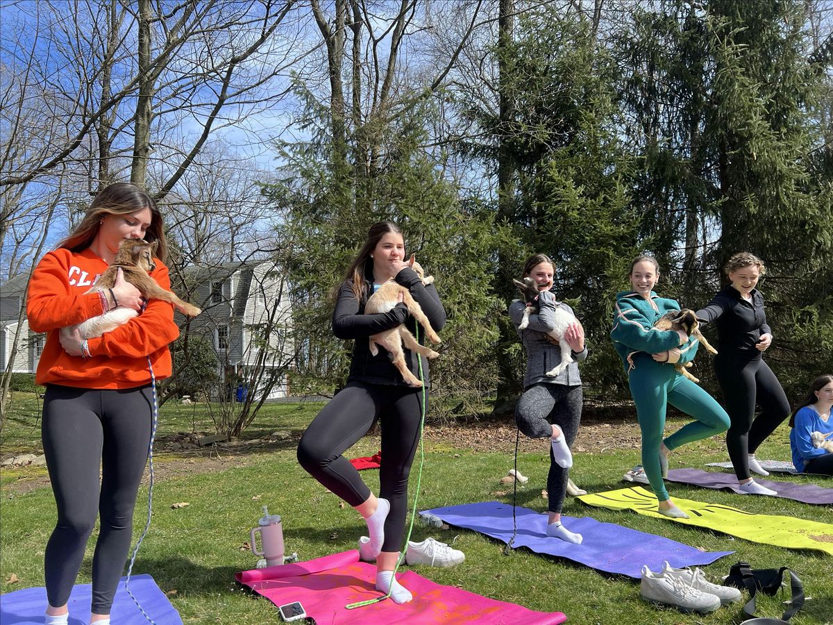 Pilates with Goats, 1 June | Event in Brookfield | AllEvents