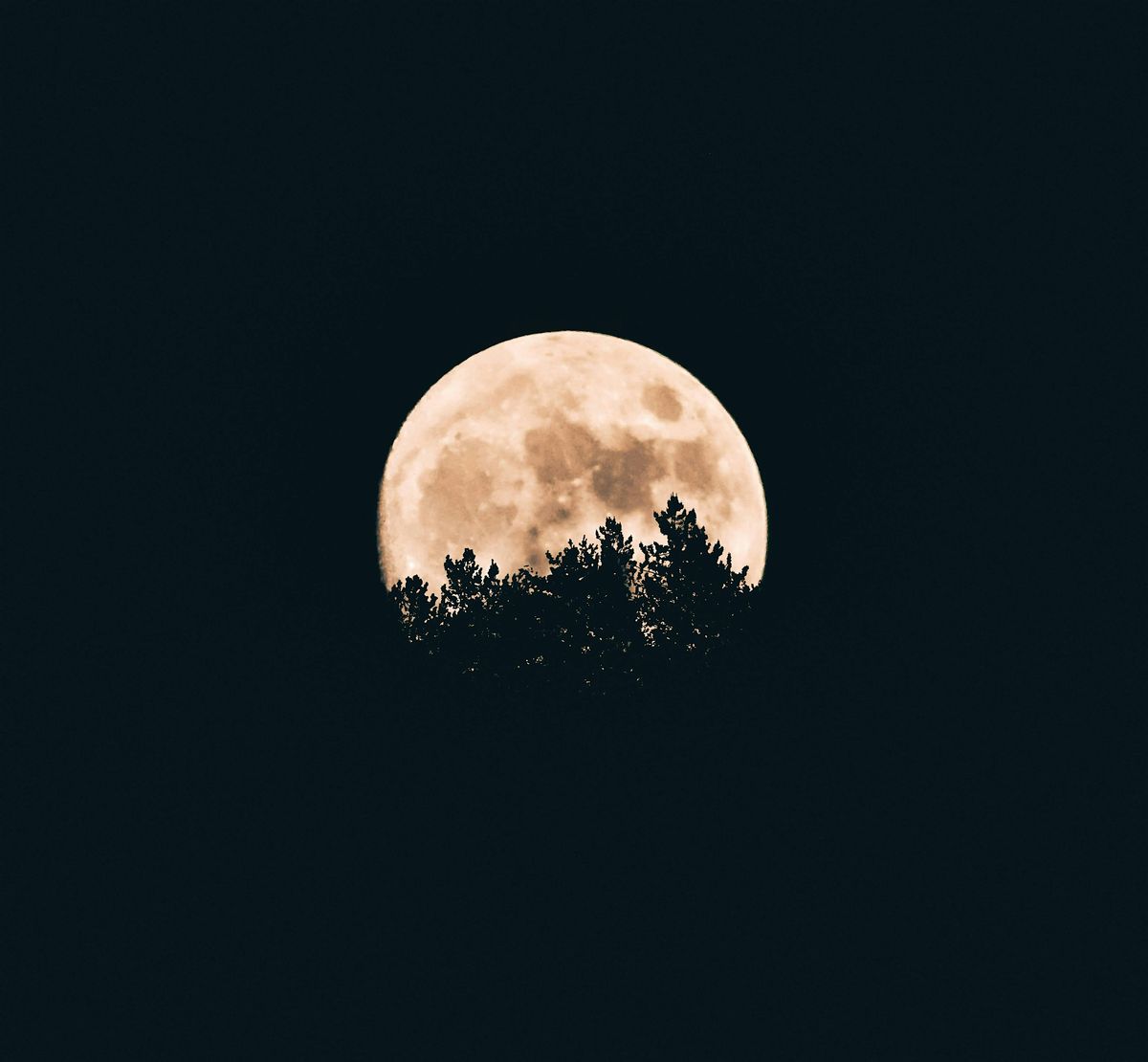 Gather with Others for Creativity and Reflection on the Full Beaver Moon, 5 November | Event in Baltimore