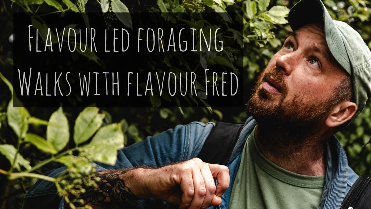 Flavour-Led Foraging Walk, Wild Food & Fungi at The Grange Hampshire, 18 October | Event in Itchen Stoke