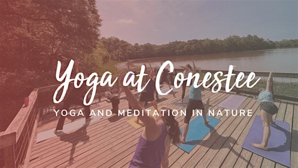 Yoga and Meditation at Conestee Nature Preserve - 5/17, 17 May | Event in Greenville | AllEvents