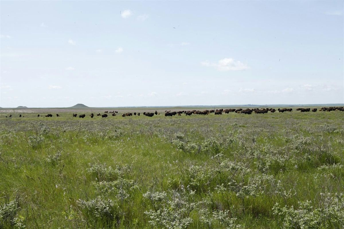 2026 Community Health Representative Symposium, 4 February | Event in Fargo | AllEvents