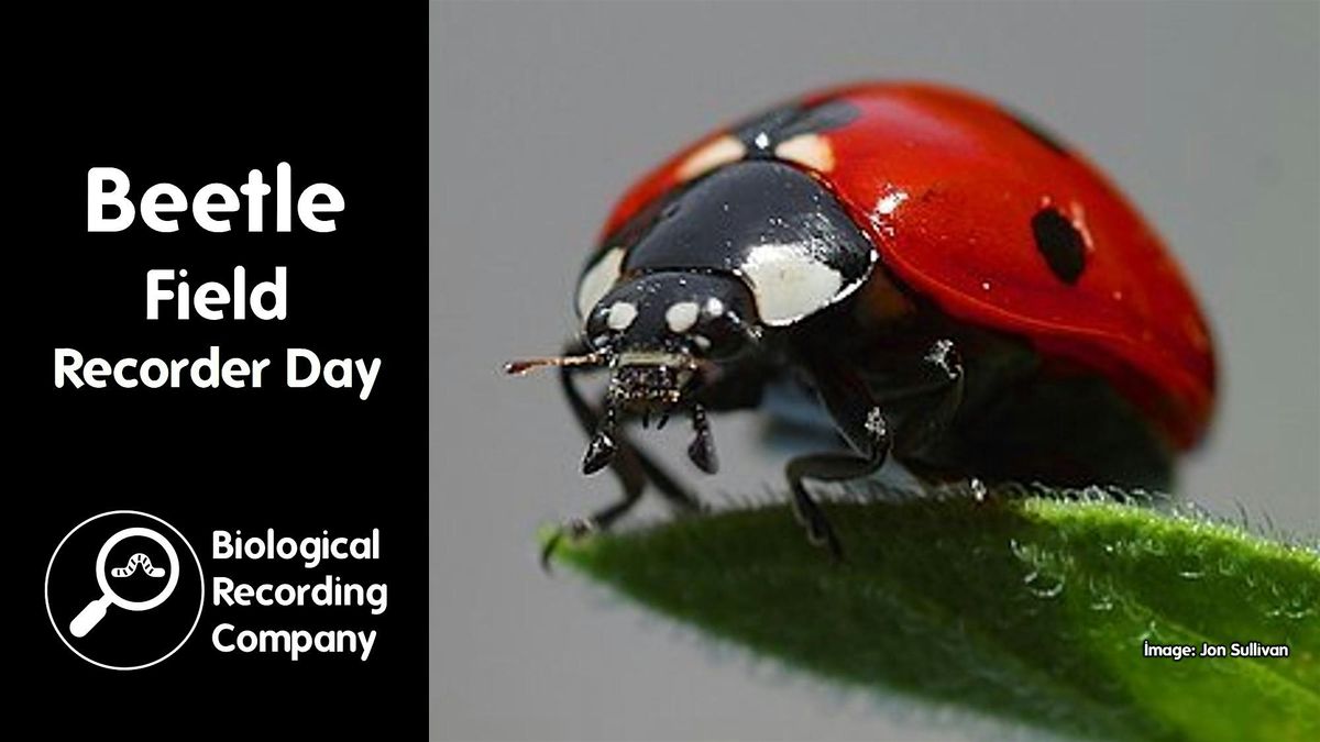 Beetle Field Recorder Day, 24 March | Event in London | AllEvents
