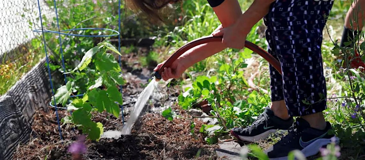 Volunteer Community Gardening | Event in Santa Monica | AllEvents