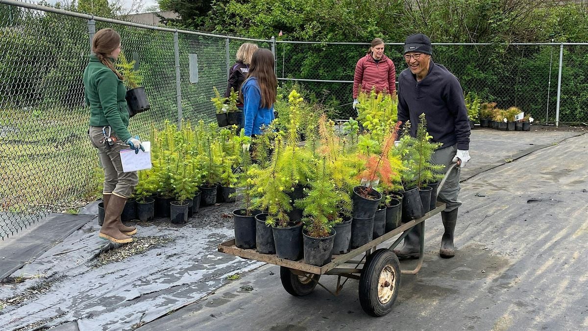KCD Native Plant Nursery, 23 May | Event in Renton | AllEvents