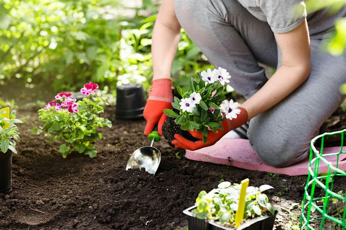 Gardening101, 11 December | Event in Grayson | AllEvents