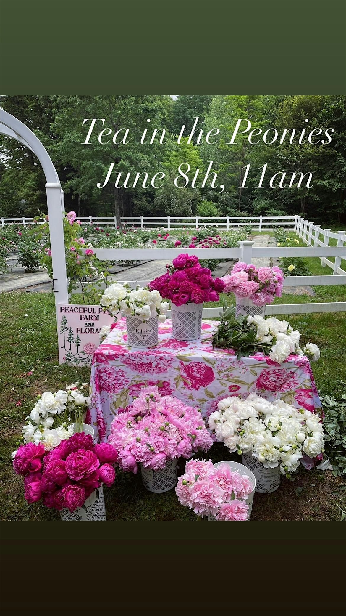 Tea in the Peonies, 8 June | Event in Plympton | AllEvents