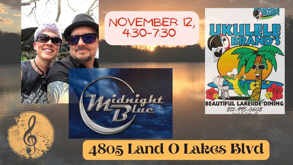 Midnight Blue at Ukulele Brands, Ukulele Brands, Land O Lakes, November